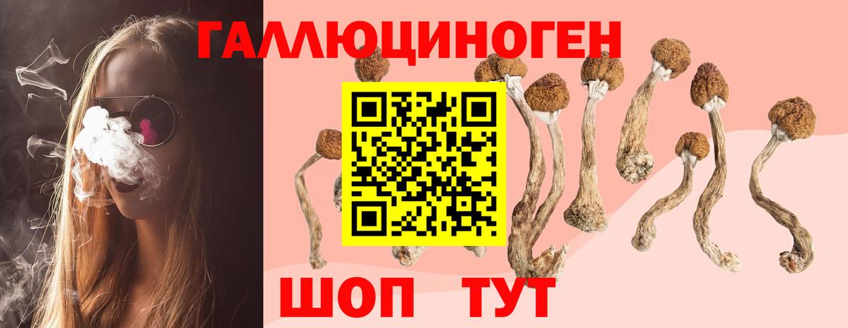 Мичуринск  как найти наркотики  Вход с VPN  Псилоцибиновые грибы MAGIC MUSHROOMS 
